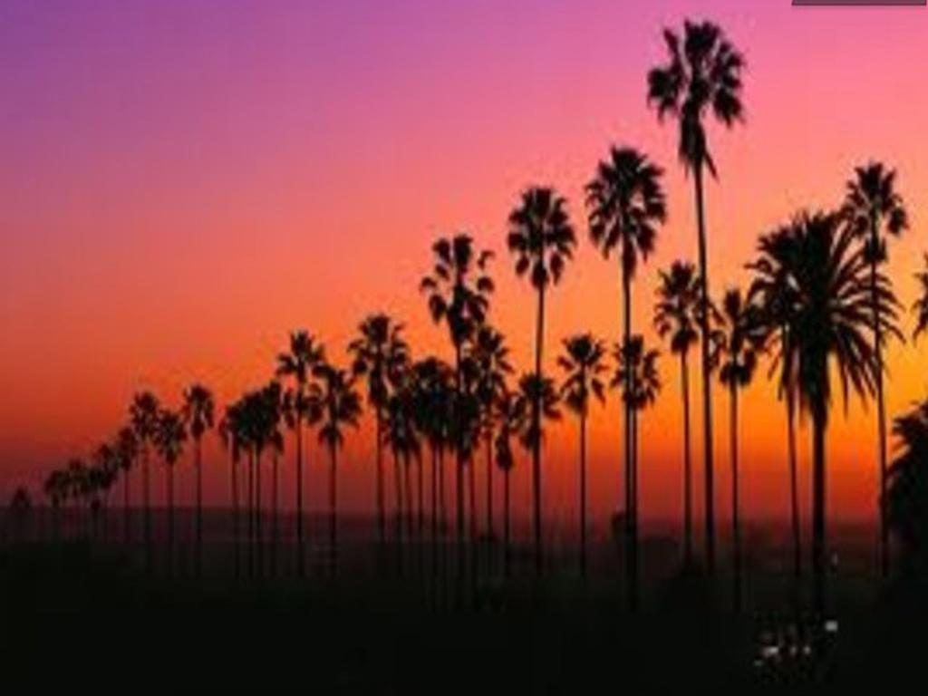 Boutique 444 Venice Beach Los Angeles Exterior foto